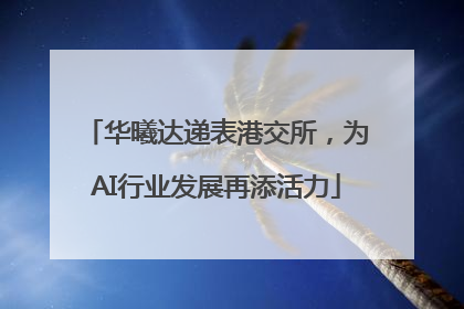 华曦达递表港交所，为AI行业发展再添活力