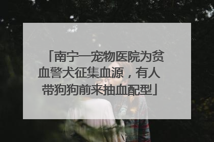 南宁一宠物医院为贫血警犬征集血源，有人带狗狗前来抽血配型