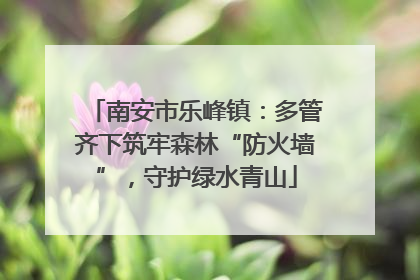 南安市乐峰镇：多管齐下筑牢森林“防火墙”，守护绿水青山