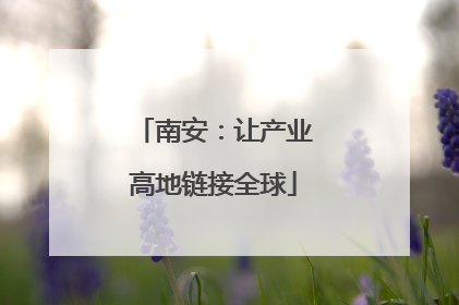 南安：让产业高地链接全球