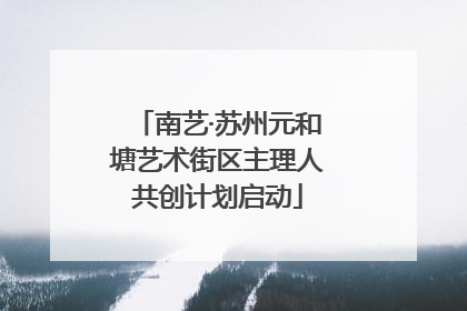 南艺·苏州元和塘艺术街区主理人共创计划启动
