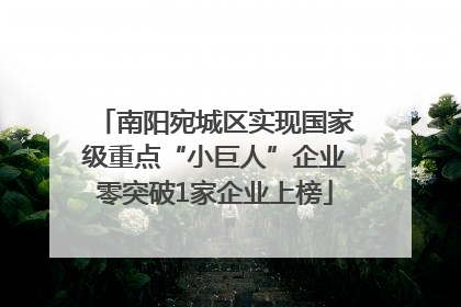南阳宛城区实现国家级重点“小巨人”企业零突破1家企业上榜