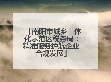 南阳市城乡一体化示范区税务局：精准服务护航企业合规发展
