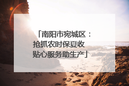 南阳市宛城区：抢抓农时保夏收 贴心服务助生产