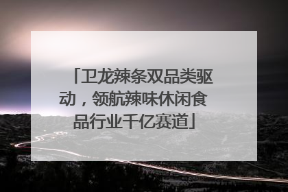 卫龙辣条双品类驱动，领航辣味休闲食品行业千亿赛道