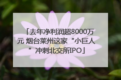 去年净利润超8000万元 烟台莱州这家“小巨人”冲刺北交所IPO
