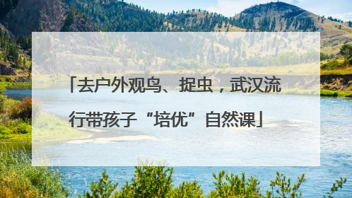 去户外观鸟、捉虫，武汉流行带孩子“培优”自然课