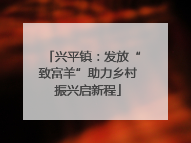 兴平镇：发放“致富羊”助力乡村振兴启新程