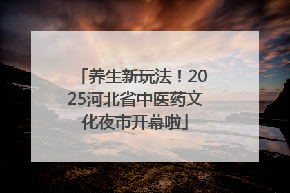 养生新玩法！2025河北省中医药文化夜市开幕啦