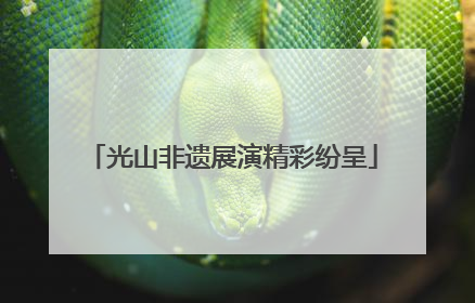 光山非遗展演精彩纷呈
