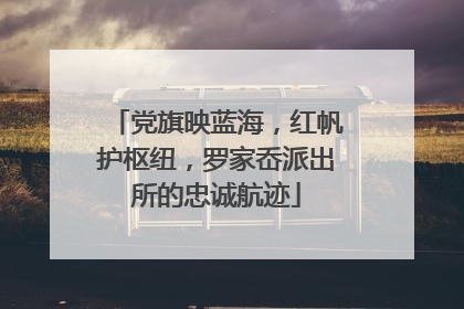 党旗映蓝海，红帆护枢纽，罗家岙派出所的忠诚航迹
