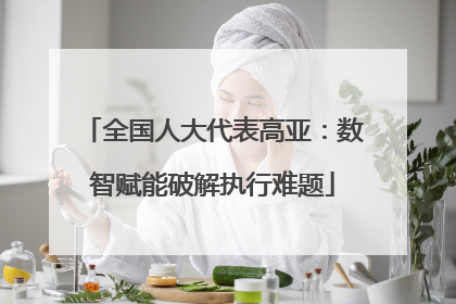 全国人大代表高亚：数智赋能破解执行难题
