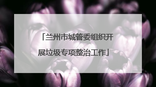 兰州市城管委组织开展垃圾专项整治工作