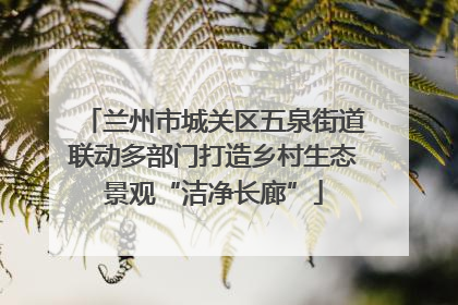 兰州市城关区五泉街道联动多部门打造乡村生态景观“洁净长廊”