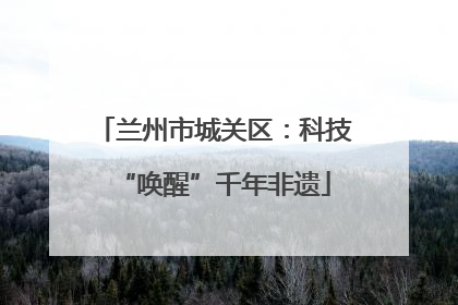 兰州市城关区：科技“唤醒”千年非遗