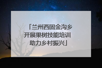 兰州西固金沟乡开展果树技能培训 助力乡村振兴