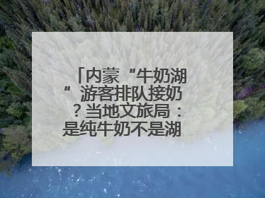内蒙“牛奶湖”游客排队接奶？当地文旅局：是纯牛奶不是湖水，可放心喝