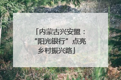 内蒙古兴安盟：“阳光银行”点亮乡村振兴路