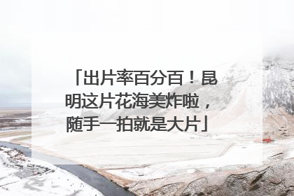 出片率百分百！昆明这片花海美炸啦，随手一拍就是大片