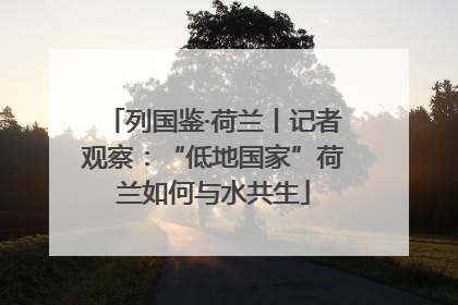 列国鉴·荷兰丨记者观察：“低地国家”荷兰如何与水共生