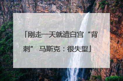 刚走一天就遭白宫“背刺” 马斯克：很失望