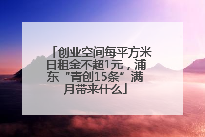 创业空间每平方米日租金不超1元，浦东“青创15条”满月带来什么