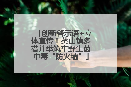 创新警示语+立体宣传！葵山镇多措并举筑牢野生菌中毒“防火墙”