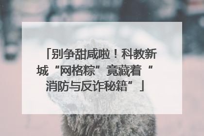 别争甜咸啦！科教新城“网格粽”竟藏着“消防与反诈秘籍”
