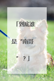 到底谁是“南哥”？