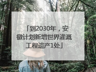 到2030年，安徽计划新增世界灌溉工程遗产1处