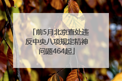 前5月北京查处违反中央八项规定精神问题464起