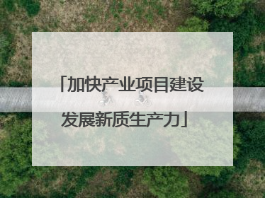 加快产业项目建设 发展新质生产力