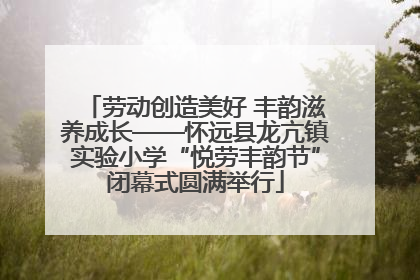 劳动创造美好 丰韵滋养成长——怀远县龙亢镇实验小学“悦劳丰韵节”闭幕式圆满举行