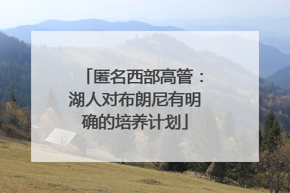 匿名西部高管：湖人对布朗尼有明确的培养计划