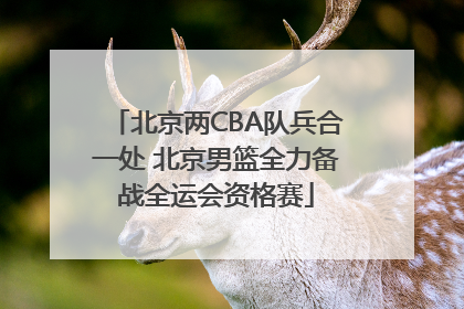 北京两CBA队兵合一处 北京男篮全力备战全运会资格赛