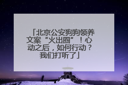 北京公安狗狗领养文案“火出圈”！心动之后，如何行动？我们打听了