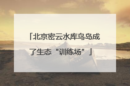 北京密云水库鸟岛成了生态“训练场”