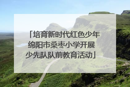 培育新时代红色少年 绵阳市桑枣小学开展少先队队前教育活动