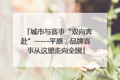 城市与赛事“双向奔赴”——平原：品牌赛事从这里走向全国