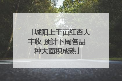 城阳上千亩红杏大丰收 预计下周各品种大面积成熟