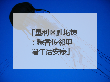垦利区胜坨镇：粽香传邻里 端午话安康