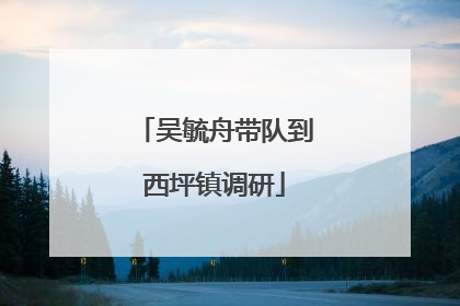 吴毓舟带队到西坪镇调研