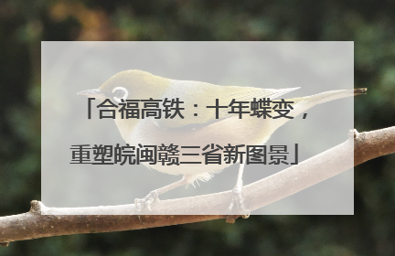 合福高铁：十年蝶变，重塑皖闽赣三省新图景