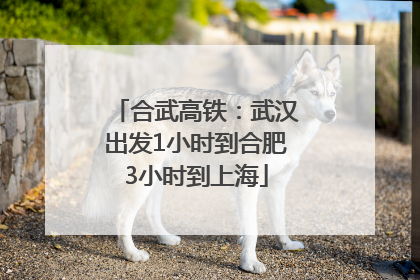 合武高铁：武汉出发1小时到合肥3小时到上海