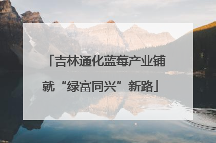 吉林通化蓝莓产业铺就“绿富同兴”新路