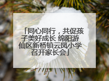同心同行，共促孩子美好成长 绵阳游仙区新桥镇云凤小学召开家长会