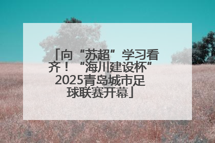 向“苏超”学习看齐！“海川建设杯”2025青岛城市足球联赛开幕