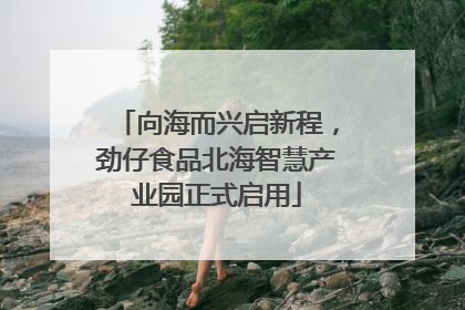 向海而兴启新程，劲仔食品北海智慧产业园正式启用