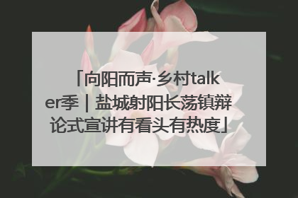 向阳而声·乡村talker季｜盐城射阳长荡镇辩论式宣讲有看头有热度