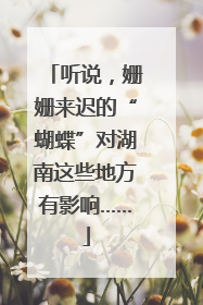 听说，姗姗来迟的“蝴蝶”对湖南这些地方有影响……